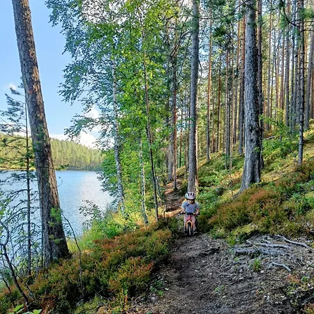 Lomatalo Aurinkorinne Punkaharjulla * Punkaharju
