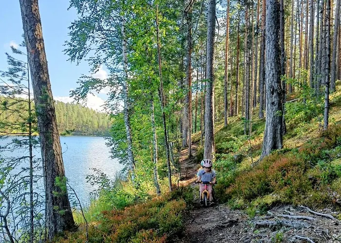 Lomatalo Aurinkorinne Punkaharjulla * بونكاهاريو