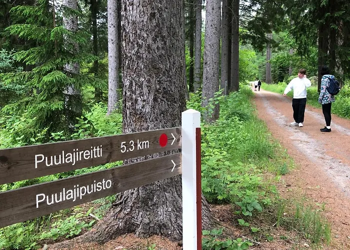 Lomatalo Aurinkorinne Punkaharjulla *